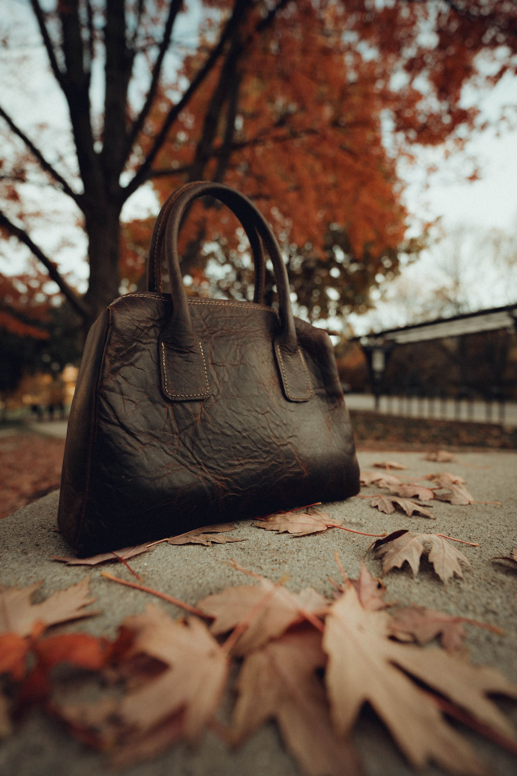 The Artifact Handbag