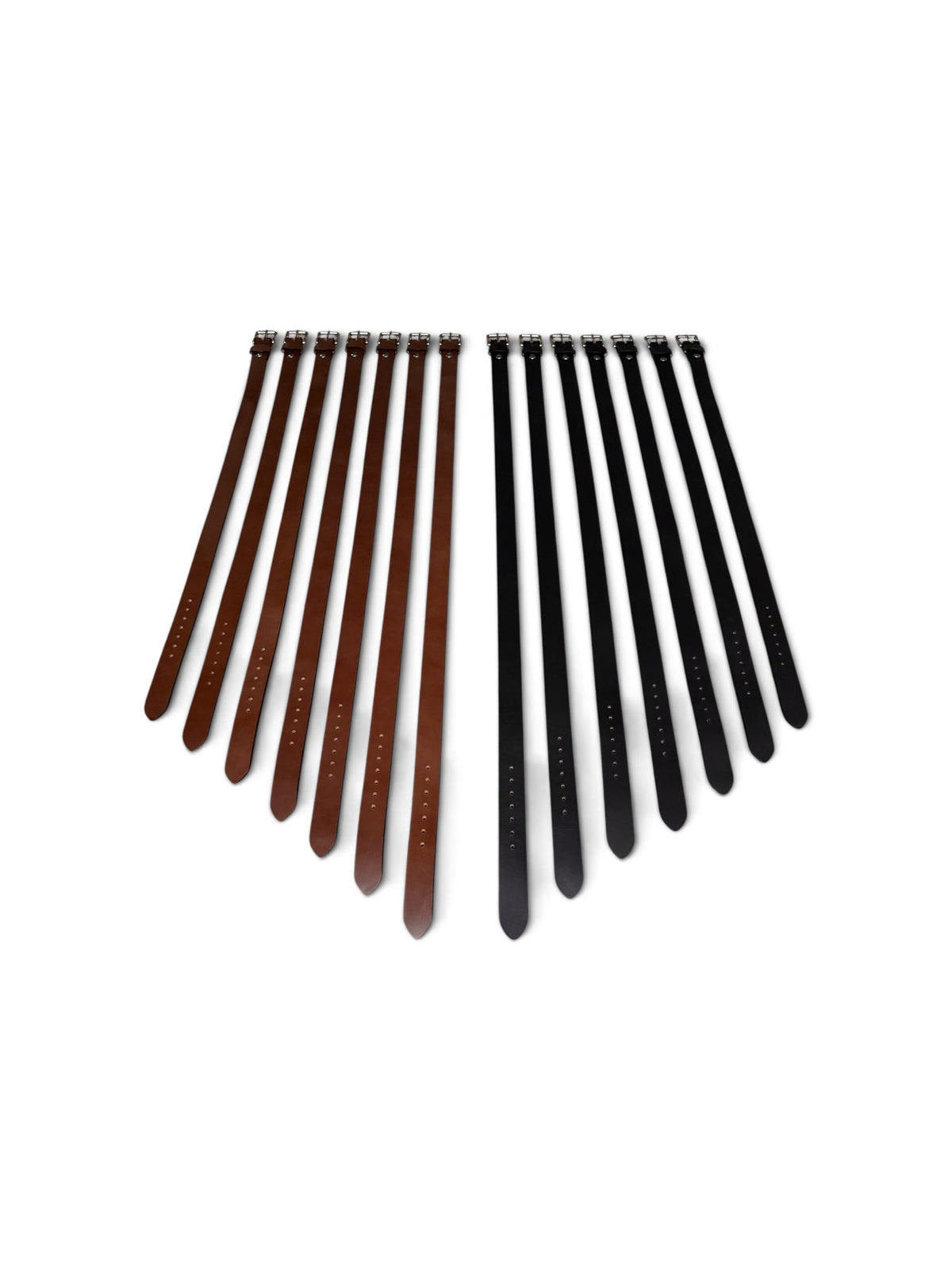 Helios Belt in brown and black, shown side by side in a range of lengths